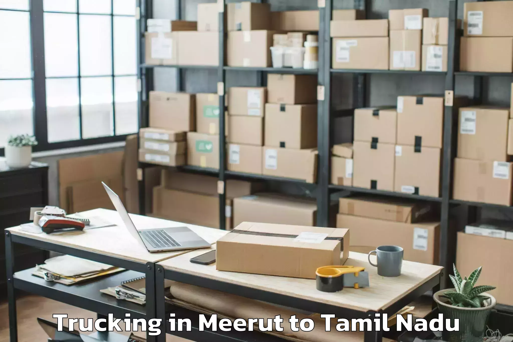 Top Meerut to Thiruvarur Trucking Available